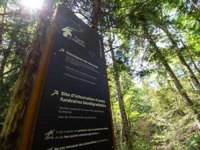 La forêt cinéraire d'Arbas accueille ses premiers défunts