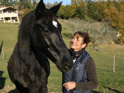 Tarn-et-Garonne : maltraité et abandonné, ce cheval retrouve sa maîtresse après 7 années de séparation