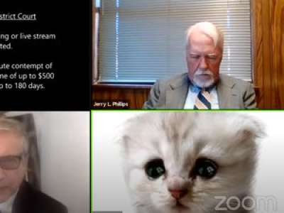VIDEO. En visio pendant un procès, un avocat se retrouve avec un filtre de tête de chat