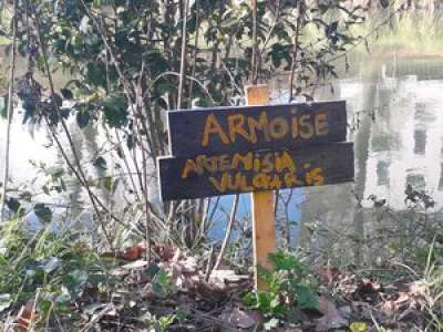 À Toulouse, qui est ce mystérieux botaniste qui s'amuse à identifier les plantes au bord du Canal du Midi ?