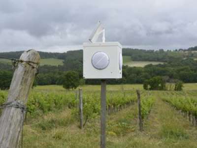 Lot-et-Garonne : des boîtes à musique contre le champignon des vignes