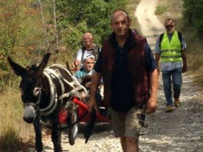 De Lauzerte à Lourdes : un pèlerinage accompagné d'un âne pour les personnes handicapées