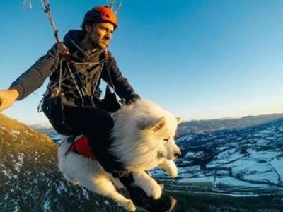 Insolite : il survole les Alpes en parapente avec son chien