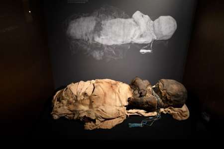 VIDEO. L’exposition sur les momies démarre bientôt au Muséum