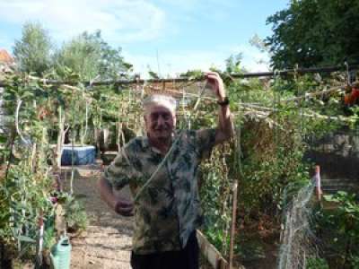 Ferrals-les-Corbières. Les haricots verts géants de Jeannot