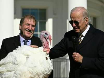 VIDEO. Thanksgiving : Joe Biden accorde sa grâce présidentielle à deux dindes avant la traditionnelle fête familiale américaine