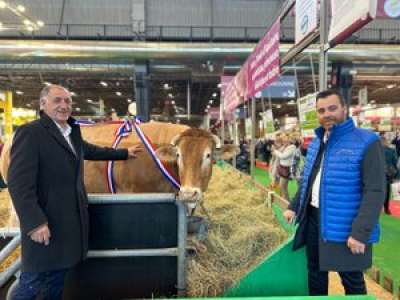 La belle histoire d'Omerta, la vache née en Tarn-et-Garonne, championne des enchères à Paris et graciée par ses acquéreurs