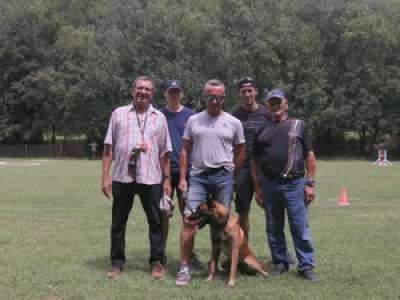 VIDEO. Sport canin : quand les chiens montent sur le ring à Pradines