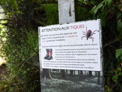 Ces indésirables de l’été dont il va falloir se méfier dans l’Aude