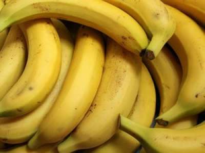 Près de 250 kilos de cocaïne retrouvés cachés dans des bananes