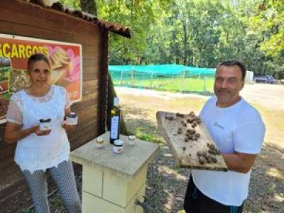 Dino et Marina Briganti produisent environ 120.000 escargots par an à Fleurance