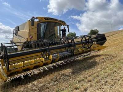 Plongée au cœur de la moisson : à bord d’une moissonneuse-batteuse avec un agriculteur tarnais