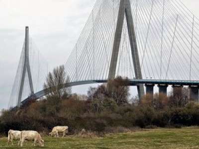 Elle doit traverser le pont de Normandie mais panique à cause du vide, la conductrice en détresse appelle les gendarmes pour qu’ils prennent le volant