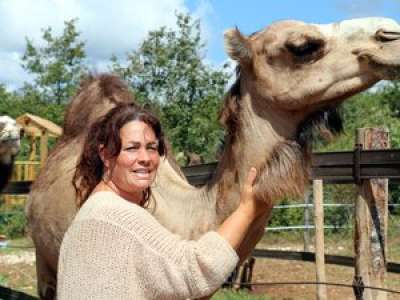 Sable du désert, tente berbère, animaux exotiques… le ranch des dromadaires a ouvert dans le Lot