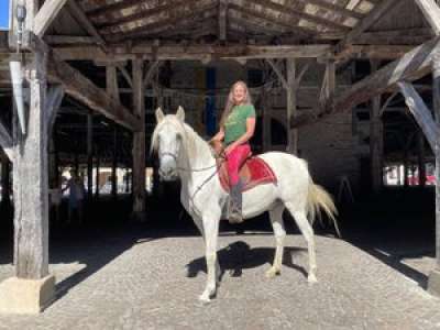 Revel : un cheval en promenade dans le centre-ville