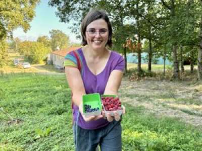 Framboises, cassis, myrtilles : Mélanie Léger, le pari de la culture des petits fruits rouges en Lot-et-Garonne