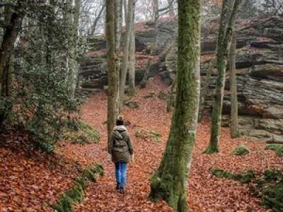 Il reçoit 500 euros pour un anniversaire et les débourse pour offrir une randonnée en montagne à des malades d’Alzheimer