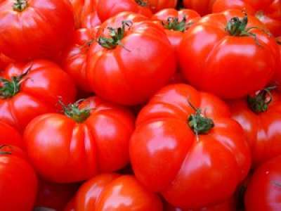 Il récolte une tomate géante de 1,129 kg grâce à une méthode naturelle et sans OGM