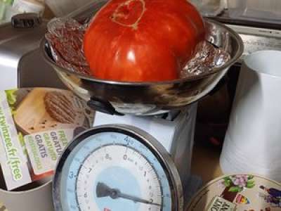 Une tomate de presque un kilo dans son potager au cœur de Rodez !