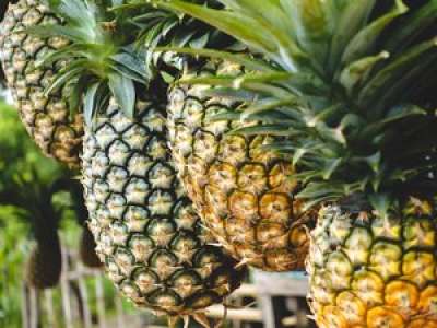 VIDEO. Rencontrer l’amour au supermarché : l’ananas renversé dans le chariot, la nouvelle tendance qui fait fureur pour draguer en Espagne