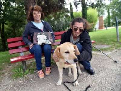  «Dix ans après sa disparition, Bip Bip le chien et son maître émus aux larmes par leur incroyable retrouvailles»