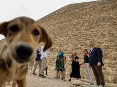 VIDÉO. Il survole l’Égypte en parapente et filme un chien perché au sommet de la plus grande pyramide du pays