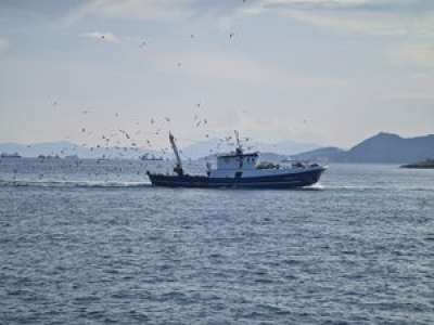 Sous-marin américain piégé par chalutier norvégien
