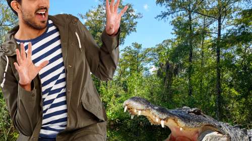 Un homme de Floride perd le bras d’un alligator lors d’une attaque devant un bar