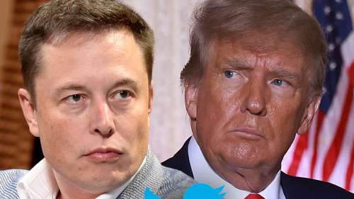 Elon Musk demande aux utilisateurs de Twitter de voter pour ramener le compte de Donald Trump