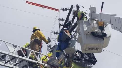 Un parachutiste californien secouru après s’être écrasé sur des lignes électriques