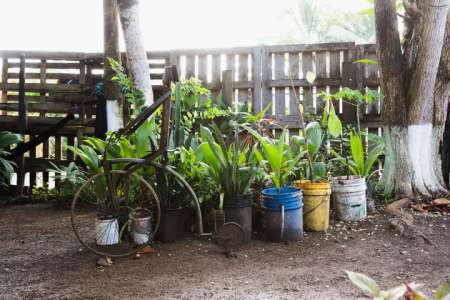 Comment prendre soin de votre jardin pendant la canicule et l’interdiction des tuyaux d’arrosage