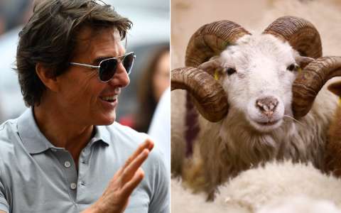 Tom Cruise interrompu par un troupeau massif de moutons sur le plateau rural de “Mission: Impossible 8”