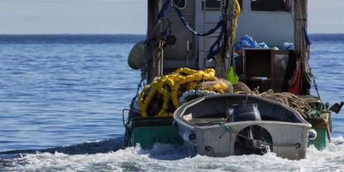 « Au-delà de la mer », de Paul Lynch : duel dans le Pacifique