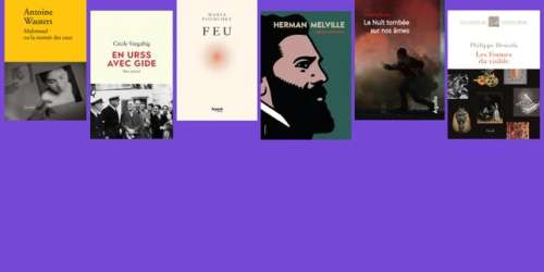 Les meilleurs livres de 2021 : la sélection du « Monde des livres »