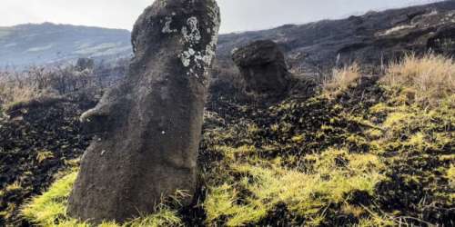 Sur l’île de Pâques, les célèbres statues moais ont subi des « dommages irréparables » à la suite d’un incendie