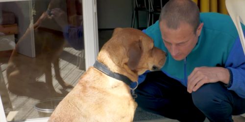 « Comme un chien en cage », sur France.tv : le meilleur ami de l’homme à la rescousse de militaires blessés