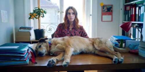 Cannes 2024 : « Le Procès du chien », de Laetitia Dosch, une comédie qui a du pif !