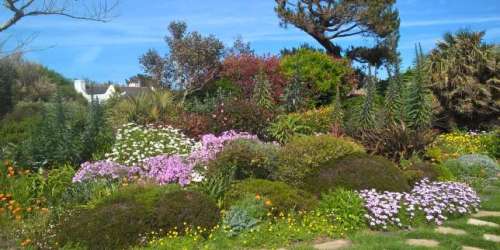 Cinq jardins d’été entre terre et mer