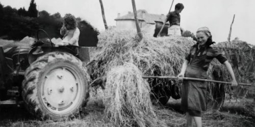 « Moi, agricultrice », sur LCP : de l’invisibilité sociale, juridique et économique à la reconnaissance légale