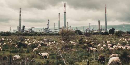 Le documentaire « Toxicily » propose, en Sicile, une promenade fiévreuse en terrain pollué par l’industrie pétrochimique