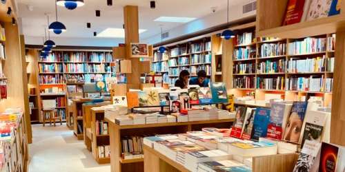 L’économie sur le fil des 574 nouvelles librairies : « Au début, chaque livre vendu était une victoire »