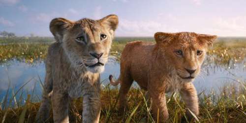 Barry Jenkins pose sa patte sur « Mufasa : Le Roi Lion »