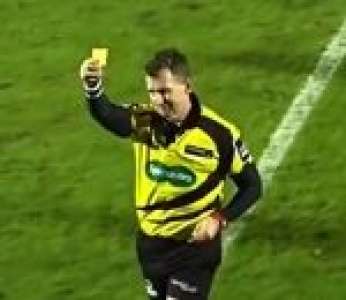 L'arbitre Nigel Owens met un carton jaune à un ramasseur de balle pendant un match de rugby (Irlande)