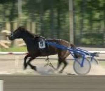 Un cheval s'empale sur une barrière pendant une course de trot (Norvège)