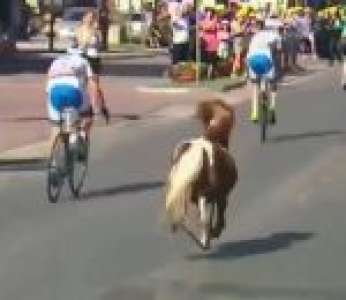 Un poney galope au milieu des cyclistes pendant une étape du tour de Pologne