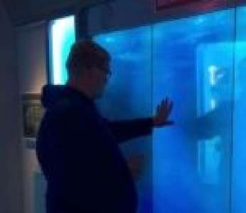 Un homme se fait attaquer par un requin nageant dans un aquarium (États-Unis)