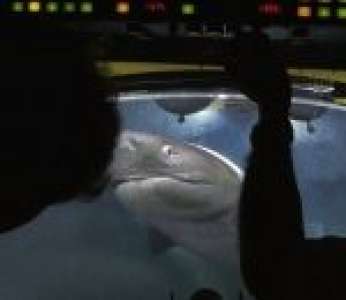 Une équipe de Blue Planet II à bord d'un submersible Lula 1000 est inquiétée par des requins