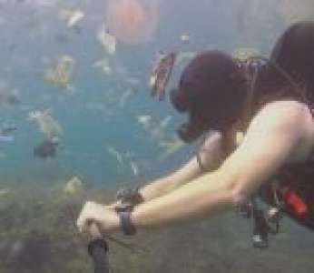Un plongeur nage dans un « océan de plastique » (Indonésie)
