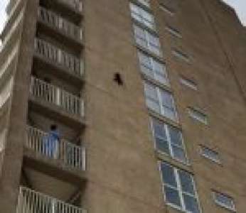 Un raton laveur saute du 7e étage d'un immeuble