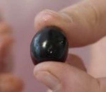 Comment des industriels fabriquent des fausses olives noires avec des olives vertes